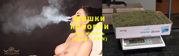 гидропоника Няндома