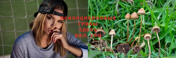 хмурый Нязепетровск